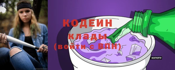apvp Вяземский